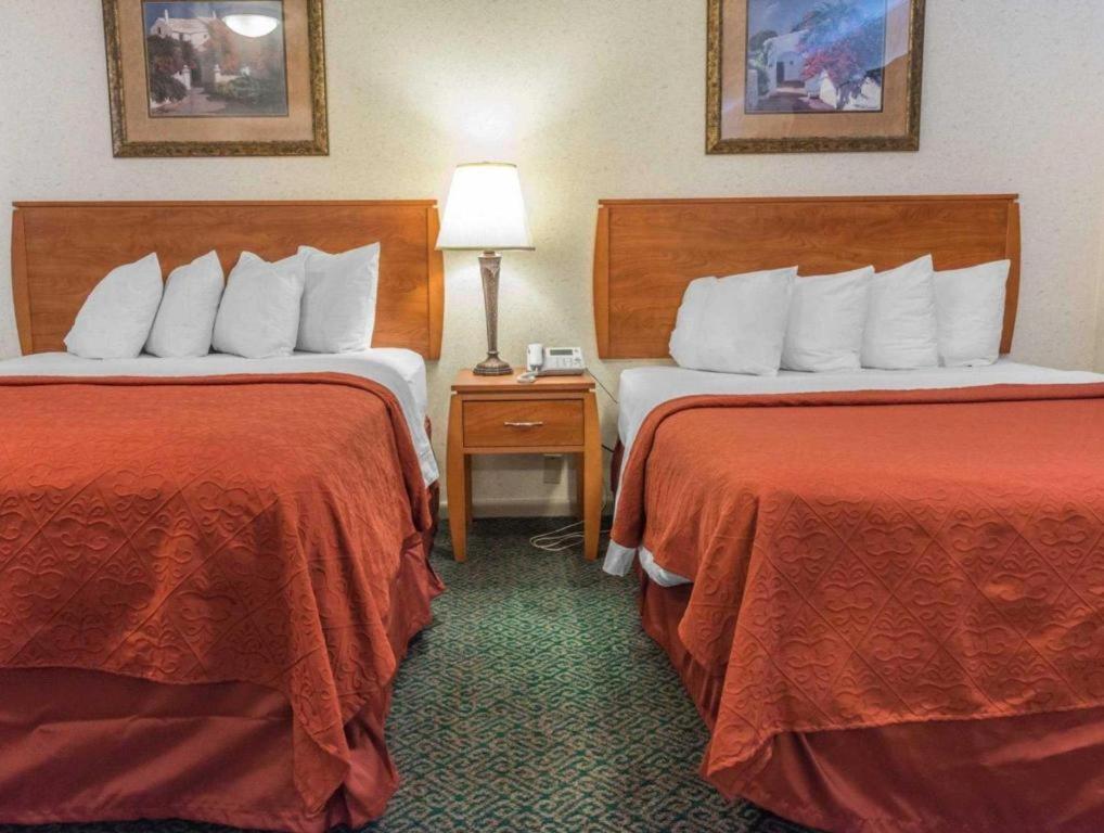Quality Inn Royle Kittanning Exterior foto